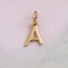 Alphabet Charms