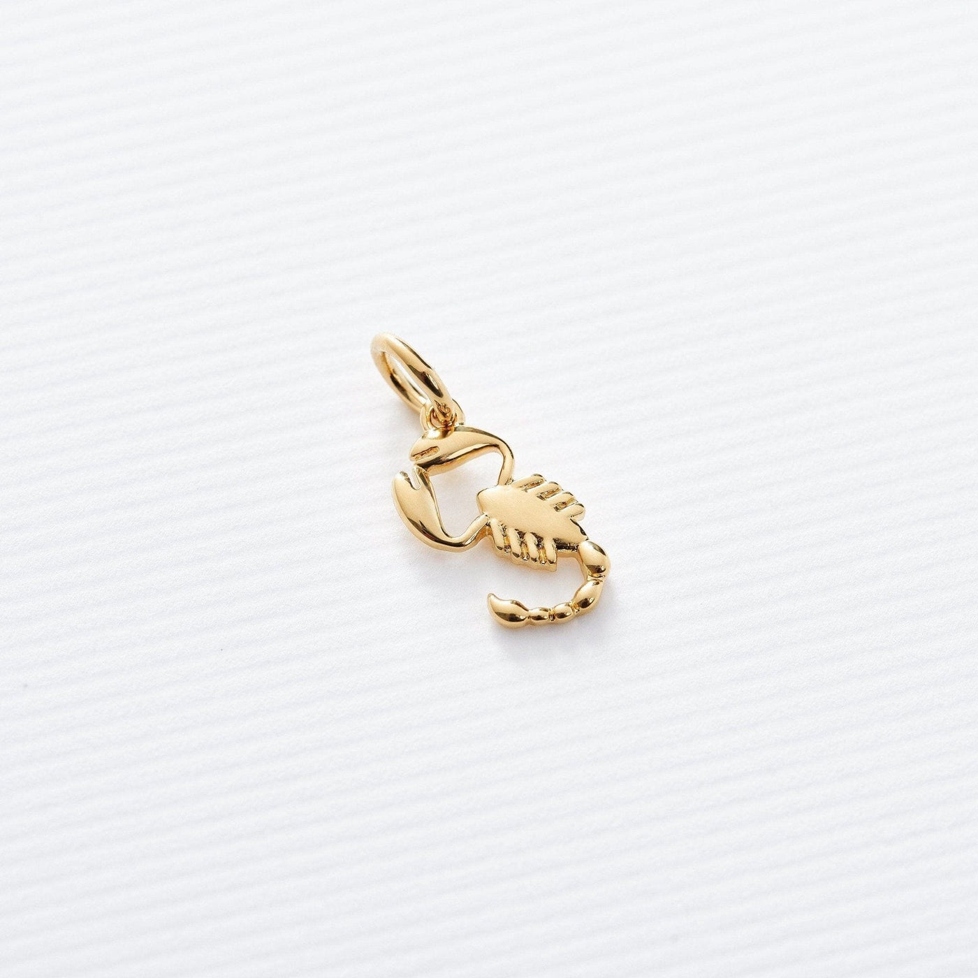 Astrology Charms - Capsul