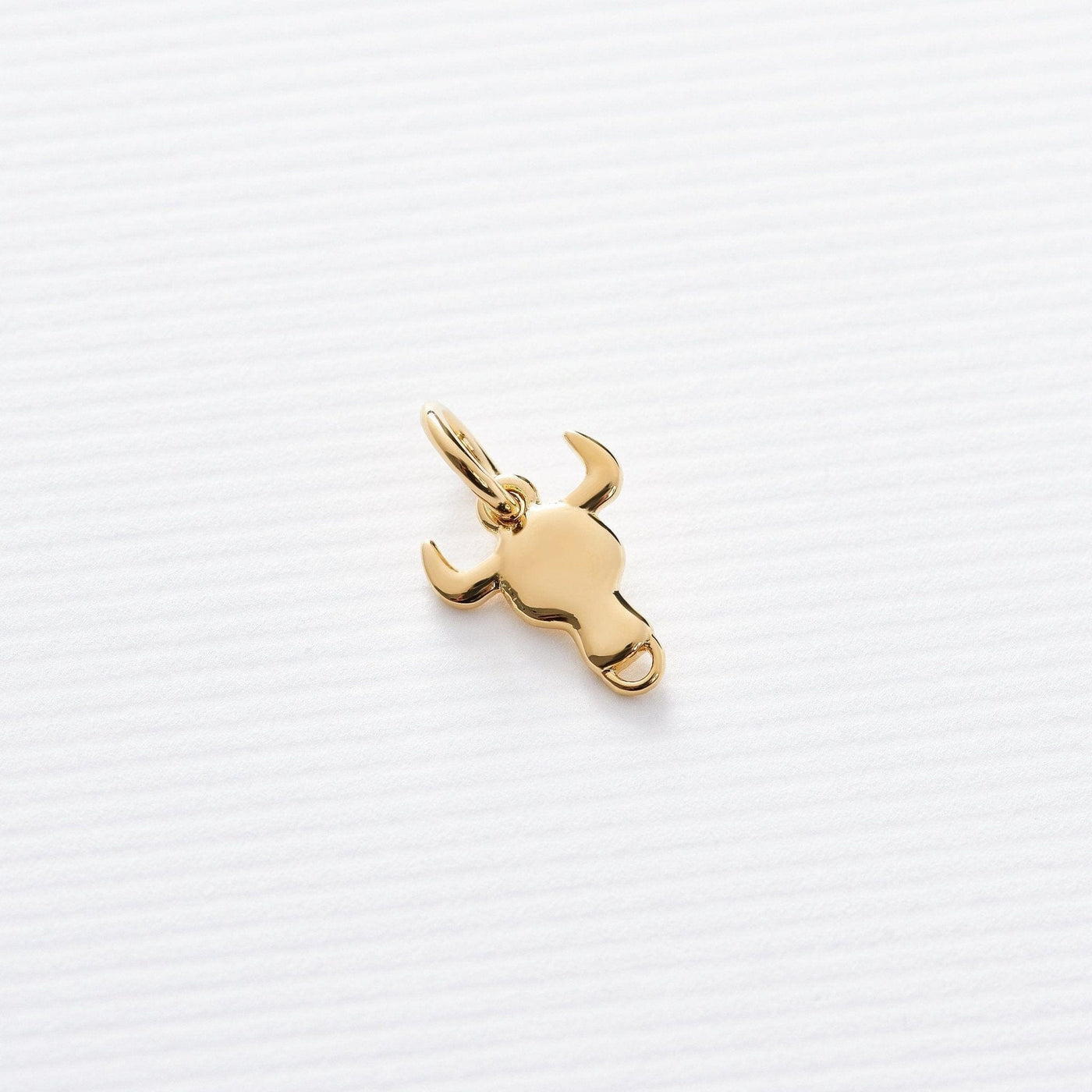 Astrology Charms - Capsul