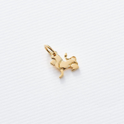 Astrology Charms - Capsul