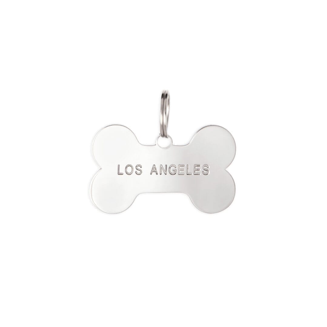 Custom Pet ID Tag - Capsul