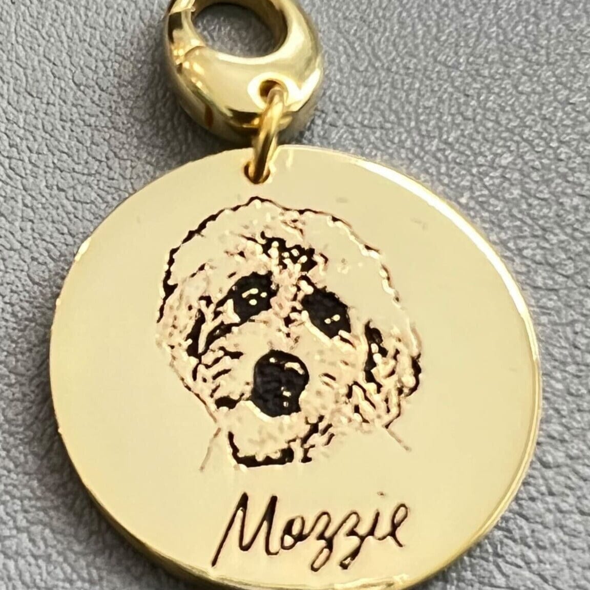 Custom Photo Pet Tag - Capsul