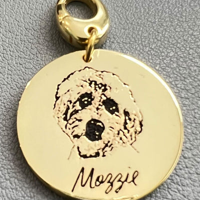 Custom Photo Pet Tag - Capsul