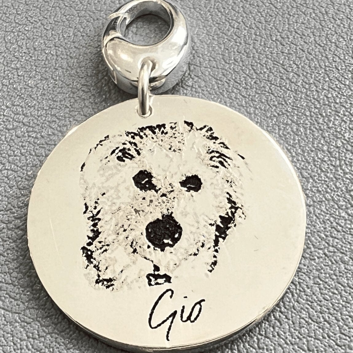 Custom Photo Pet Tag - Capsul