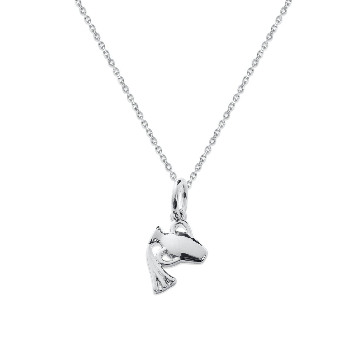 Sterling Silver Zodiac Charm Necklace - Capsul