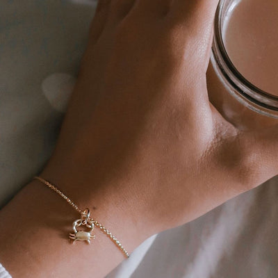 Sterling Silver Zodiac Charms Bracelet - Capsul